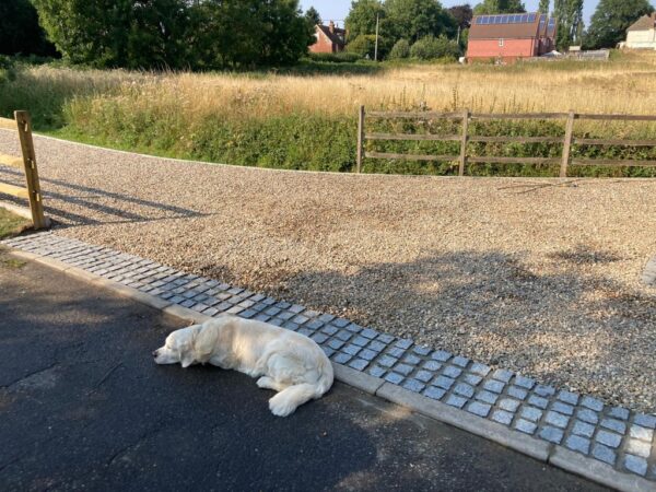 Gravel Driveway With Cobble Apron In Ashford Kent 3.jpeg